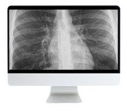 Case-Based Imaging Review Online Course 2022