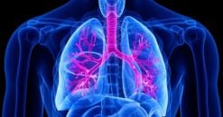 Harvard Pulmonary and Critical Care Medicine 2022