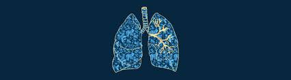 Columbia University Pulmonology-Rheumatology 2026 (Videos) Columbia University Pulmonology-Rheumatology 2026 (Videos)