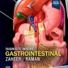 Diagnostic Imaging: Gastrointestinal, 5th edition (EPUB) Diagnostic Imaging Gastrointestinal, 5th edition (EPUB)