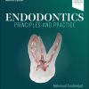 Endodontics: Principles and Practice, 7th edition (Videos Only) Endodontics: Principles and Practice, 7th edition (Videos Only)