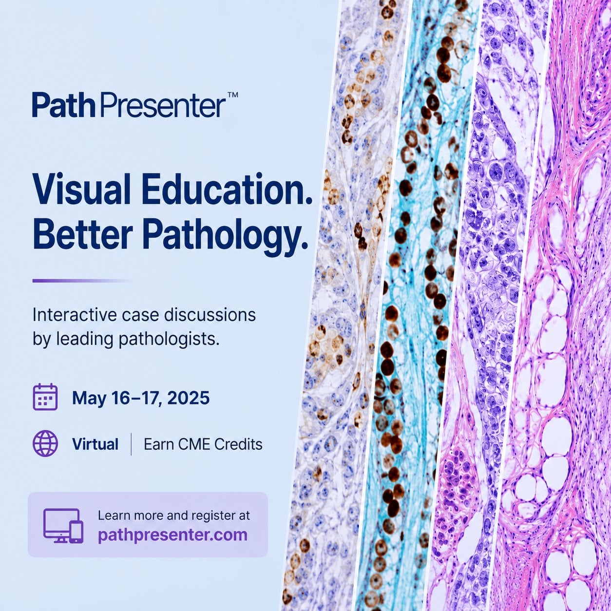Memorial Sloan Kettering Cancer Center The Pathology of Neoplastic Diseases 2026 Memorial Sloan Kettering Cancer Center The Pathology of Neoplastic Diseases 2026