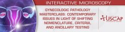 USCAP Gynecologic Pathology Masterclass Contemporary Issues in Light of Shifting Nomenclature, Criteria, and Ancillary Testing 2026